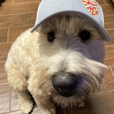 Winston- One Spark Hats